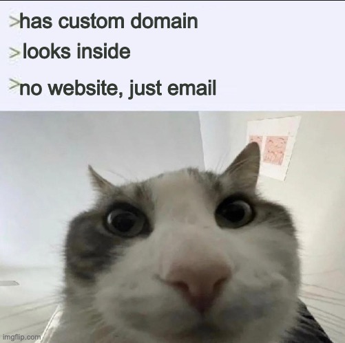 hamsti